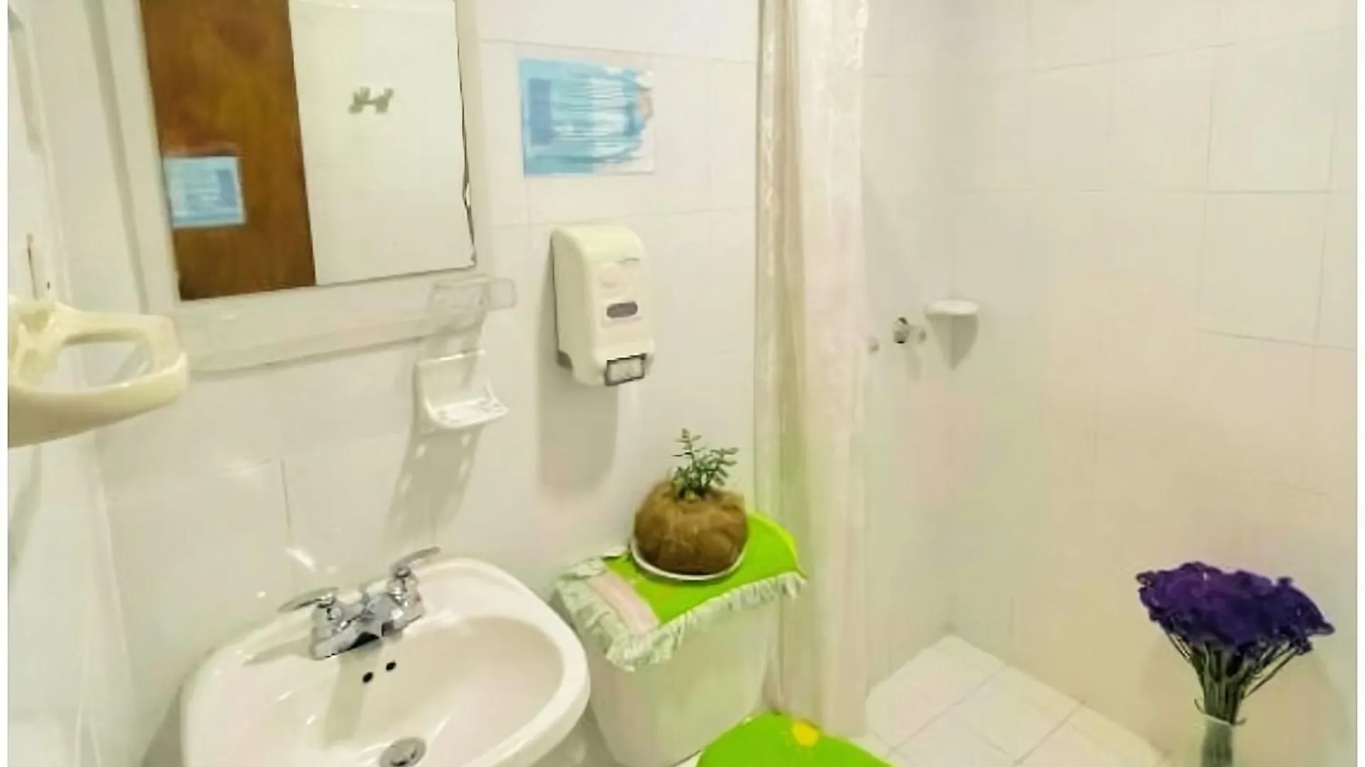 Prisma Hostel Bogota Colombia